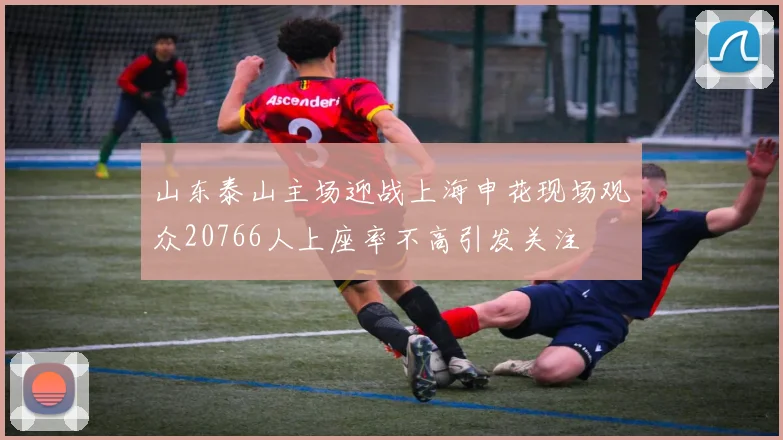 山东泰山主场迎战上海申花现场观众20766人上座率不高引发关注